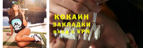 хмурый Вяземский