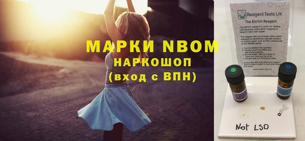 хмурый Вяземский