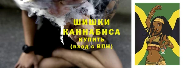 хмурый Вяземский