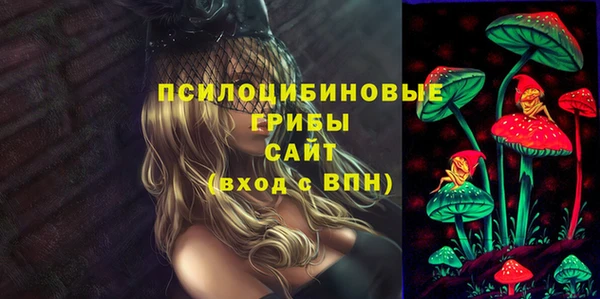 хмурый Вязники