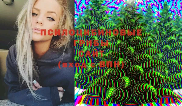 хмурый Вяземский