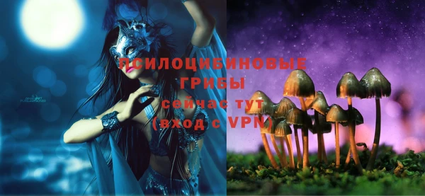 хмурый Вязники