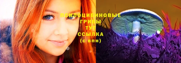 хмурый Вяземский
